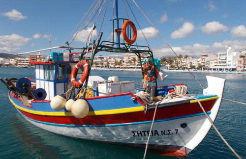 xenios Z rustic rural cottage - Foto 44