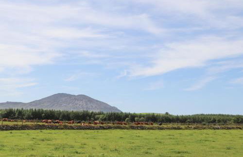 Cwm Ceiliog Annex - Photo 42