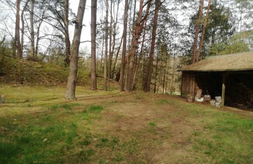 Przystań u Zosi - Foto 8