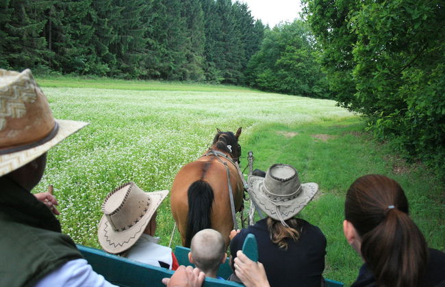 Kerca Bio Farm - Photo 50