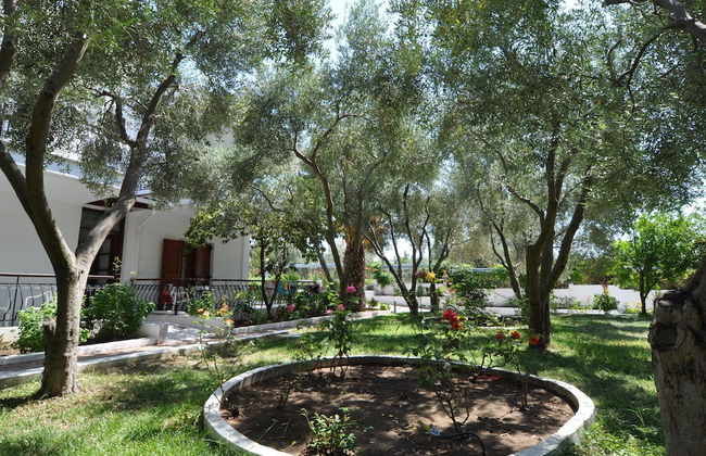 Hotel Makedonia - Photo 9