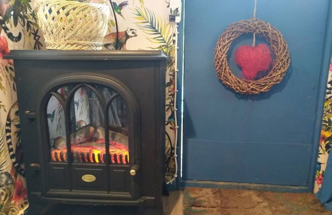 Pilgrims Shepherd's Hut - Goosewell Glynn Glamping - Foto 9