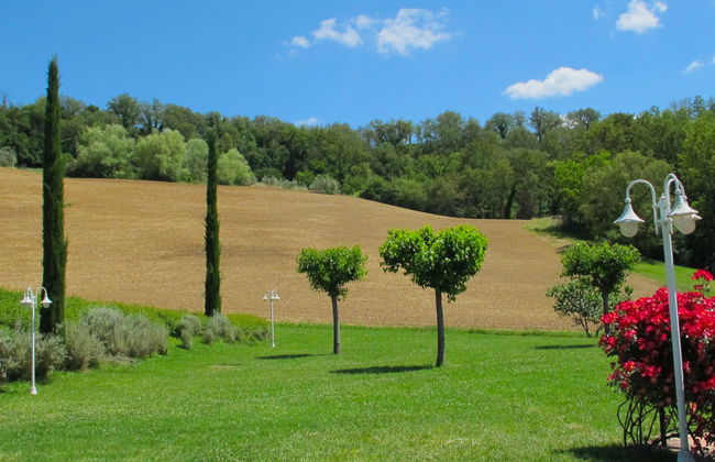 Corbezzolo - Foto 28