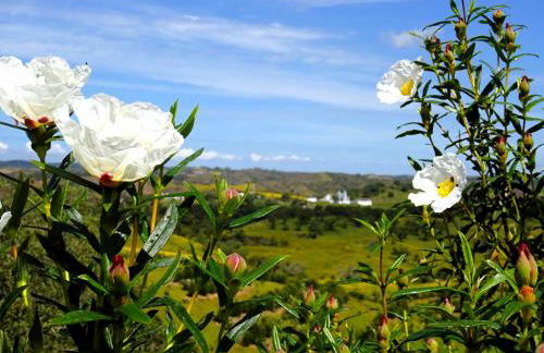 Monte do Alento - Castro da Cola - Foto 51