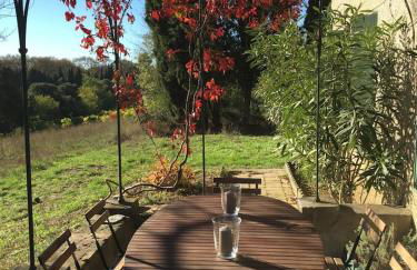 MAS DES VIGNES - View Cité de Carcassonne - Foto 2