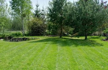 Białowieski Dworek do 10 Gości - Foto 28