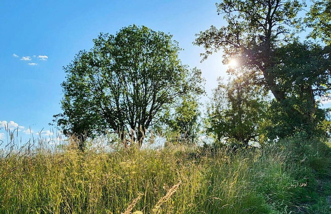 7 Person Holiday Home in Arjang - Foto 17