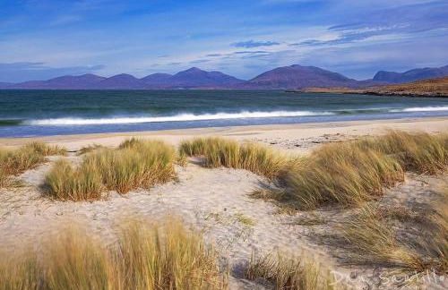 Seaview luxury pod - Photo 39