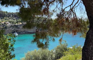 D & A Land luxury house - Photo 12