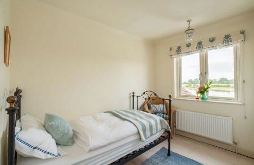 Snow Goose - Foto 31