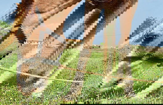 Villa Maris Ecolodge - Foto 35