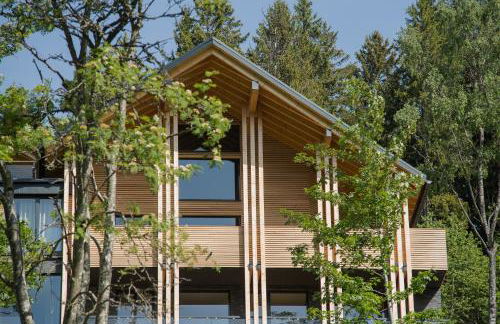 Black Forest Lodge - Photo 154