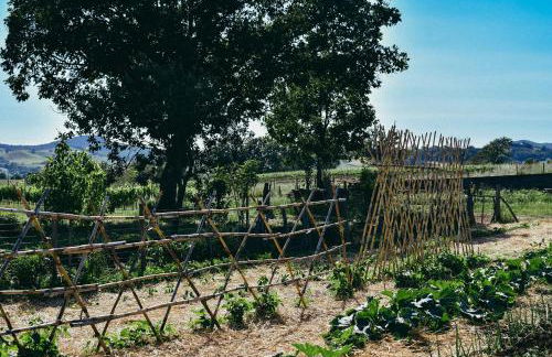 Agriturismo Vallerana - Foto 14