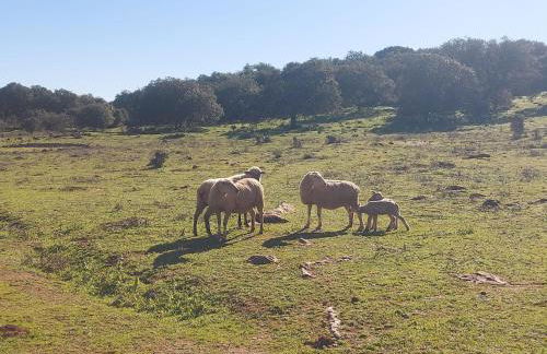 Quinta do Mocho by Portus Alacer - Photo 36