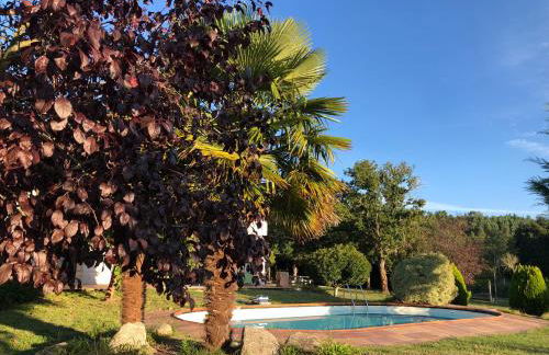 A PORTELA - Pereiro de Aguiar - Foto 11