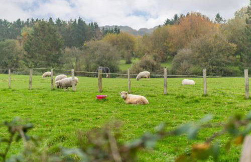 The Grainstore by Bloom Stays - Foto 12