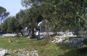 Eco Secluded apartments Zabodarski - Foto 13