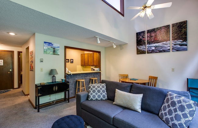 14SW - Fireplace - Dishwasher - Washer/Dryer - Sleeps 6 - Foto 59