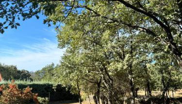 Casa Pucara - Foto 5, Garden, Garden view