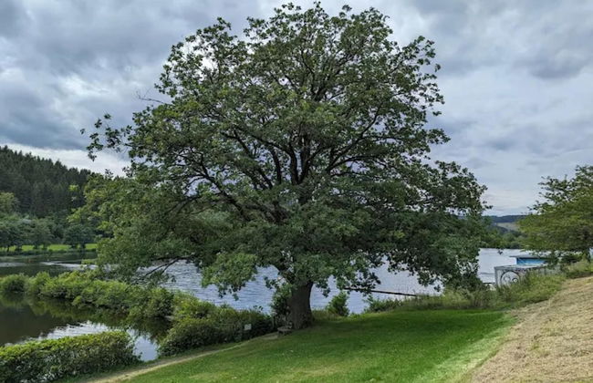 Ruhig Gelegenes Appartement in Niedersfeld - Foto 22