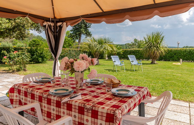 Marinpietri - Foto 4