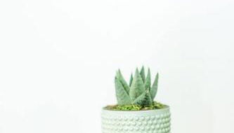 Open and Comfy home near Downtown-Folly Beach - Foto 2