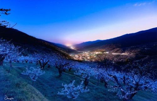 Apartamento Turistico Rio Jerte - Foto 13