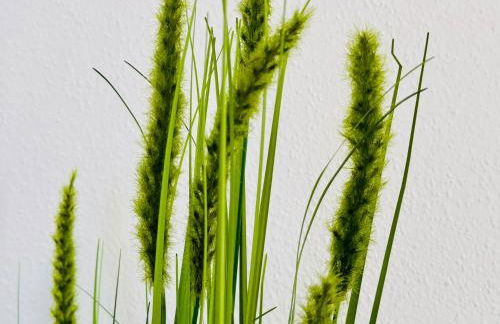 UNiQE - city central - design apartment - SKY-TV - free parking - Foto 30