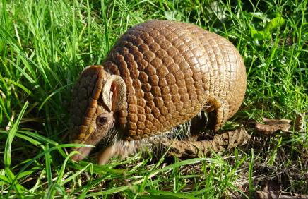 Wild Coastal Retreat at Troed Y Rhiw Aberporth, West Wales - Foto 40