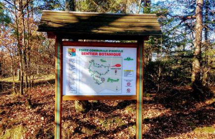 Gite châlet nature haute vosges - Foto 40