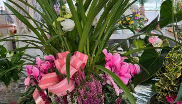 B&B Il glicine - Photo 2