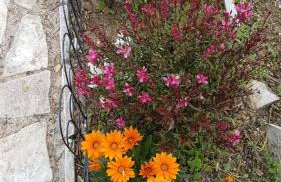 Holiday Home Subasic - Photo 8