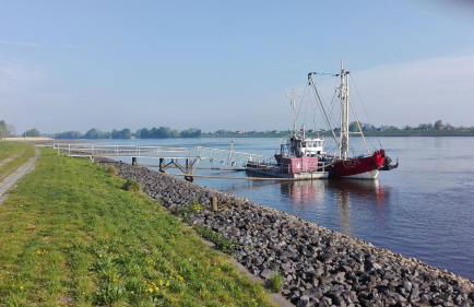 Ferienwohnung Elbe Diek - Foto 2
