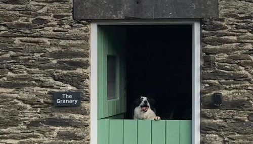 Granary Retreat for 2 inc shared Dog Field - Foto 3