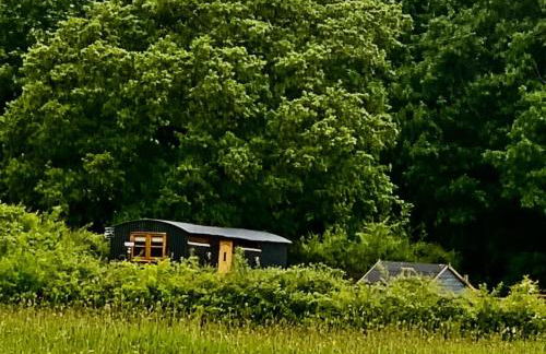 Shepherds Hut with Scandinavian Hot Tub and hydromassager - Foto 30