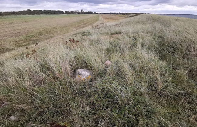 Secluded Holiday Home in Lolland near Sea - Foto 10