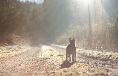 Zum Windfeld - Foto 36