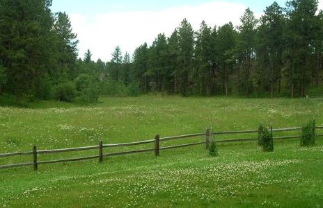 Gorgeous Private Cottage Rental in the Black Hills of South Dakota - Foto 13