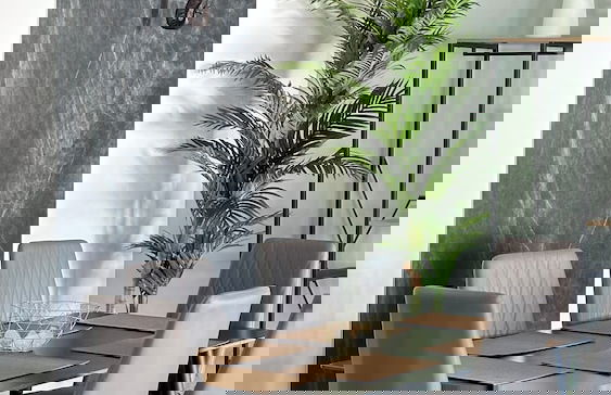 Grand Orlov Apart Hotel - Foto 45