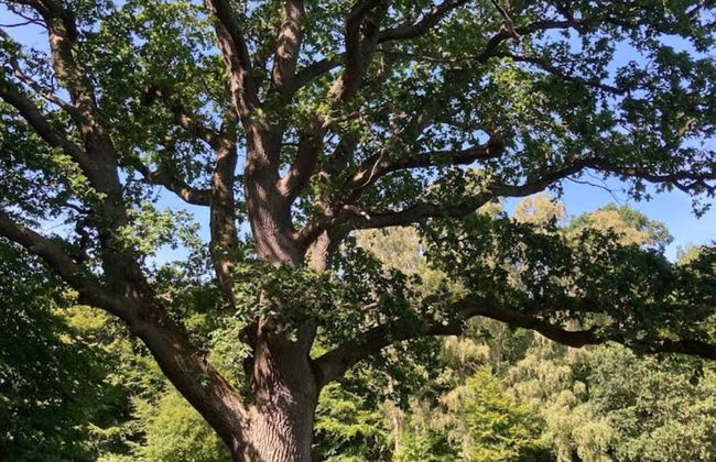 4 Person Holiday Home in Faxe Ladeplads-by Traum - Foto 19