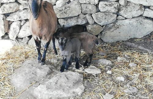 Le Grotte di Sileno - Foto 47