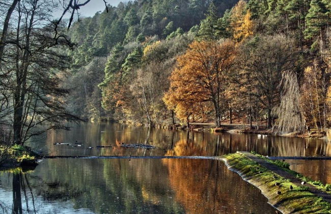 Opulent Holiday Home in Spa with Sauna, Hot Tub, Playroom - Photo 33