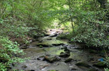 Streamside ShinyTiny Airstream in the Smokies - Foto 10