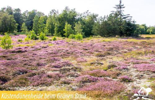 Haus am Dorfteich Fehmarn - Foto 61