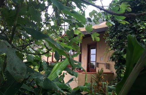 Casa Rural Las Rosas - Foto 22