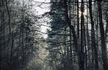 Dom Kacprowy - Brzegi Lasu - dwa apartamenty na wyłączność z ogrodem - Foto 55