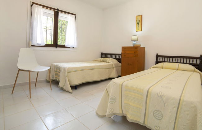 La Cigarra - Foto 10