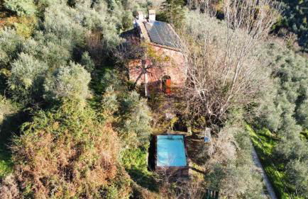 Villa in Toscana con Piscina privata e parco privato - Foto 4