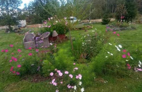 Agroturystyka Jak Makiem Zasiał Dworki 10 - Foto 26