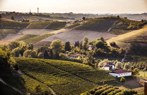 Villa Vinory - La Mandragola - Foto 15